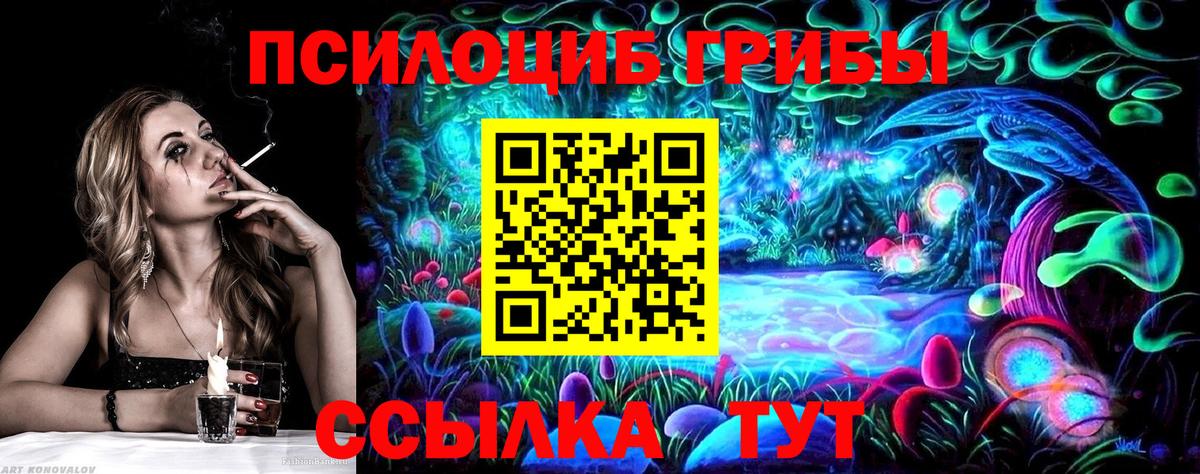Псилоцибиновые грибы GOLDEN TEACHER Киров