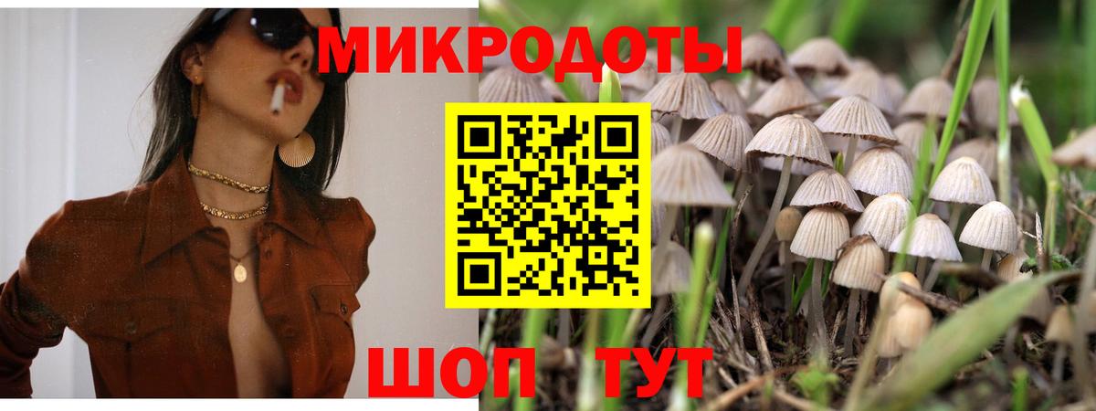 Галлюциногенные грибы Cubensis  Вход с VPN  Галлюциногенные грибы Psilocybe  Киров 
