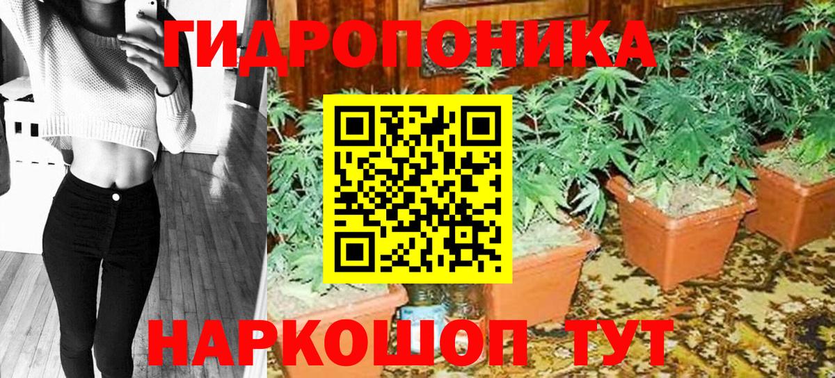 Киров  Конопля Amnesia  МАРИХУАНА OG Kush  Бошки марихуана AK-47  Вход с VPN  Бошки Шишки тримм 